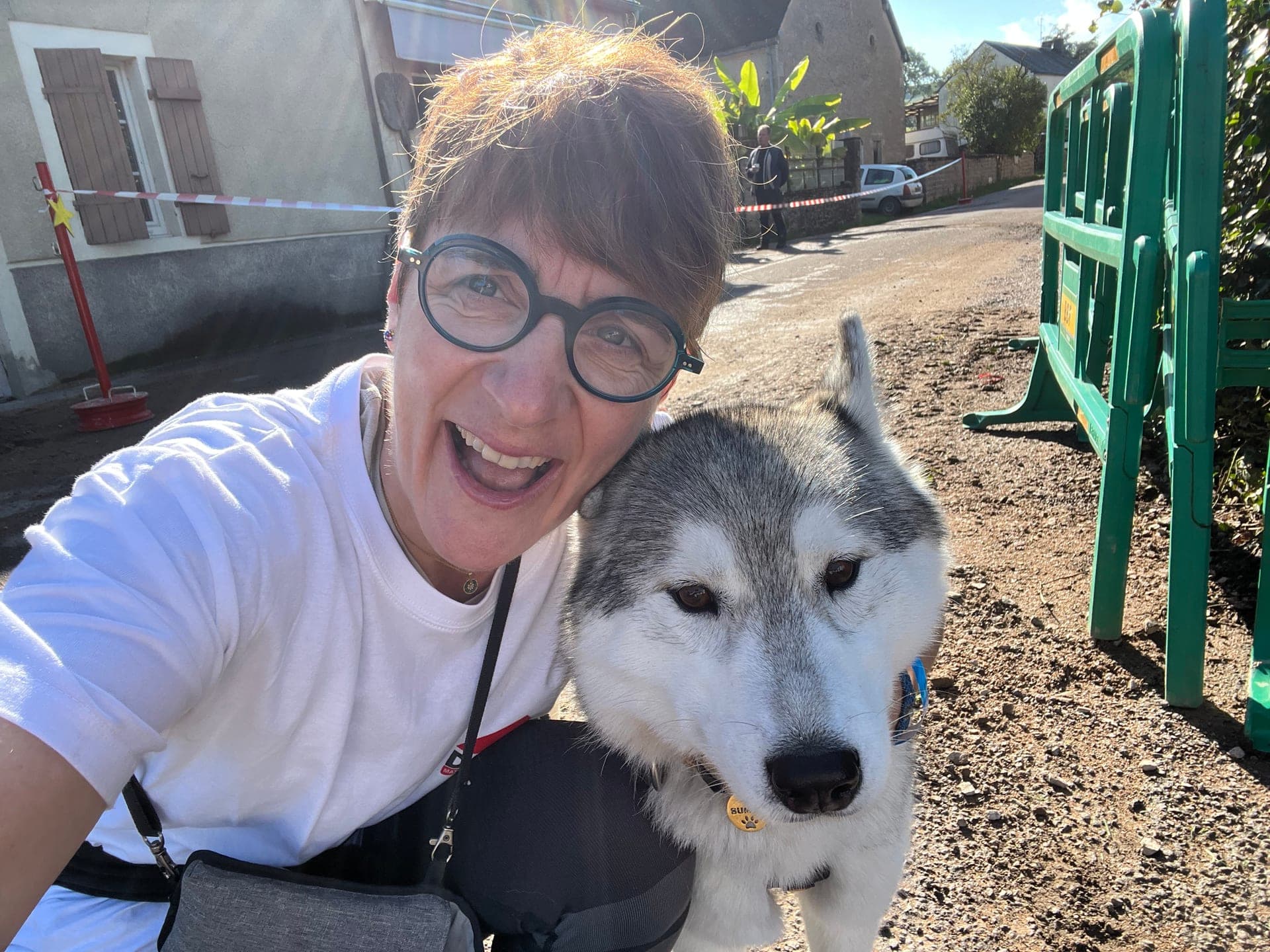 Voyager avec son chien en Suède