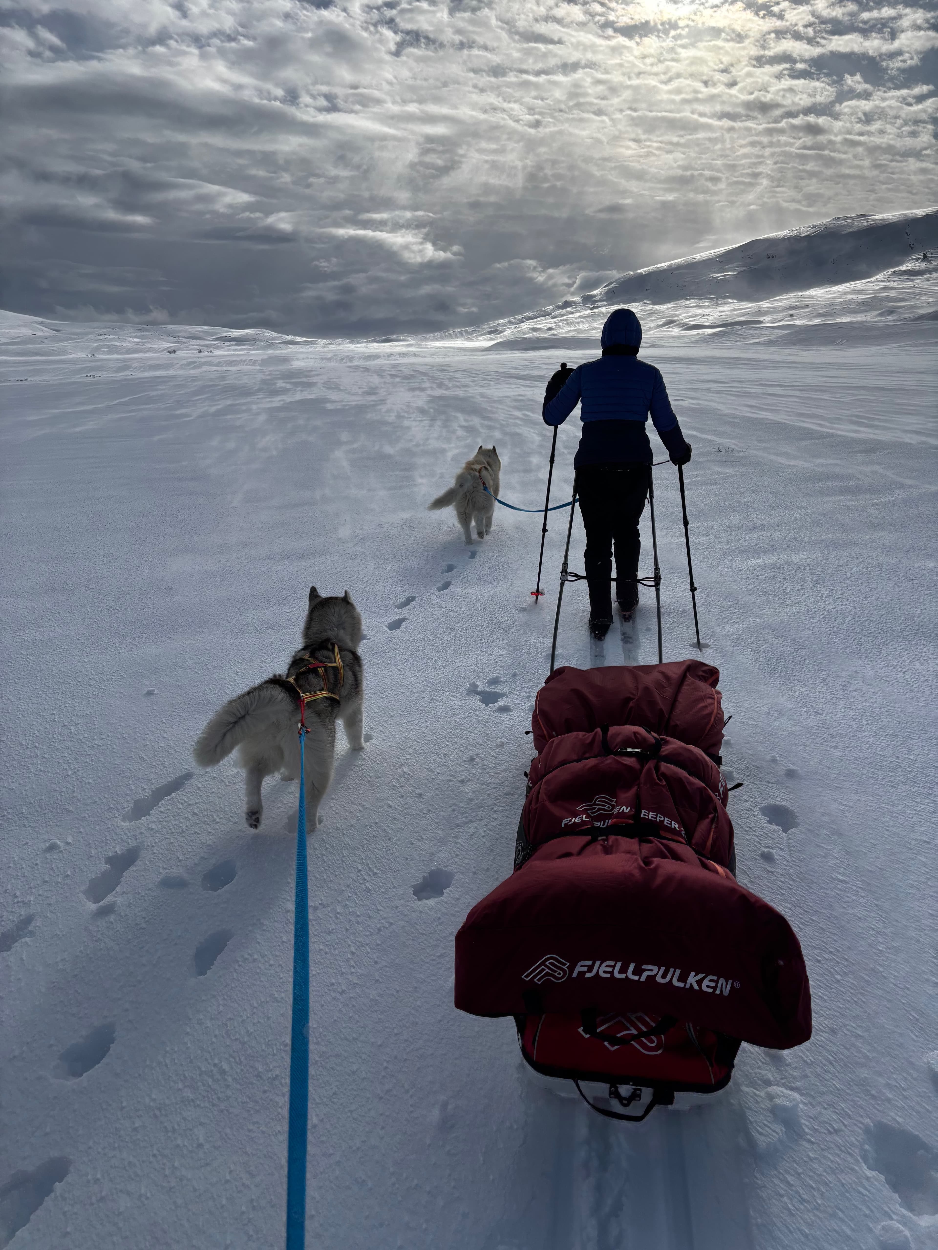 Ski-joering in Swedish Lapland — The Skimate Guide