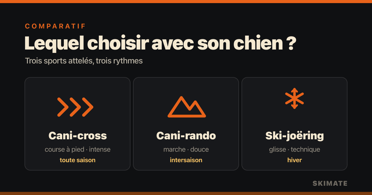 Cani-cross, cani-hiking or ski-joëring: which to choose with your dog?