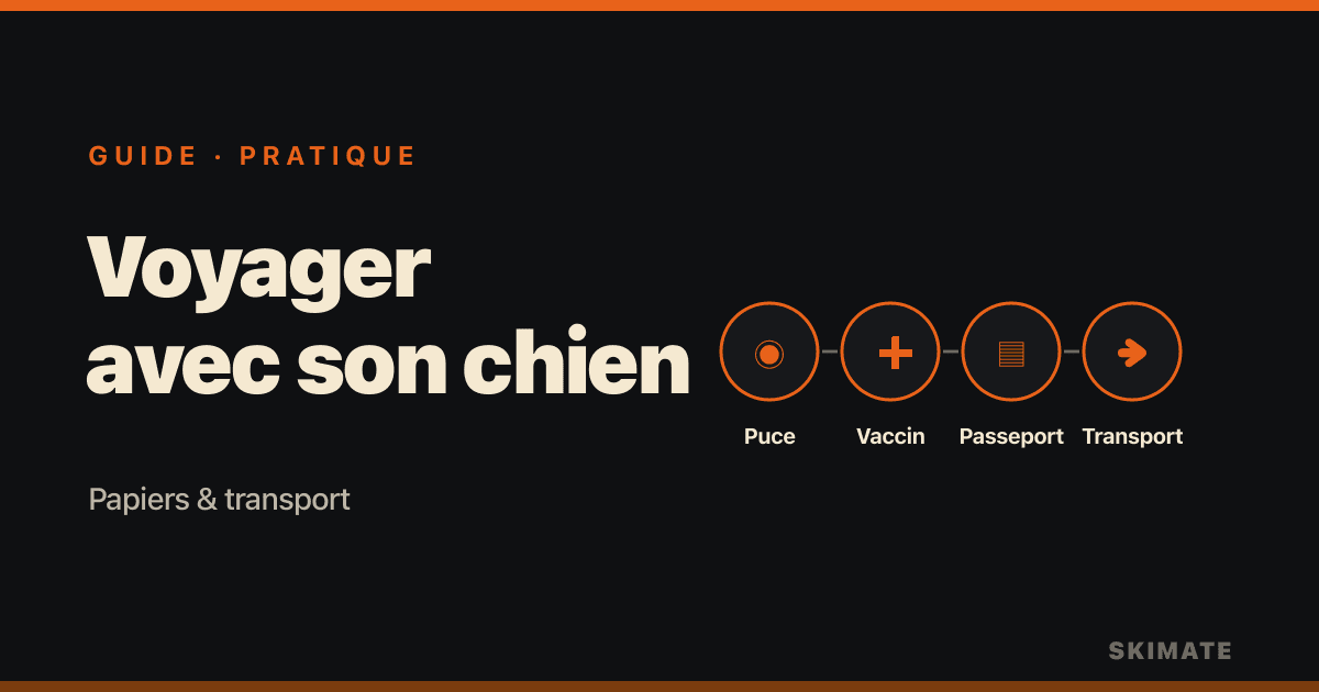 Voyager en Suède avec son chien : papiers, passeport et transport