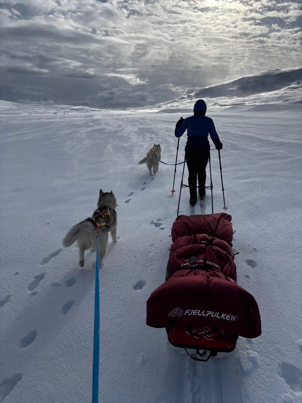 Kristell en ski/pulka dans le Rondane