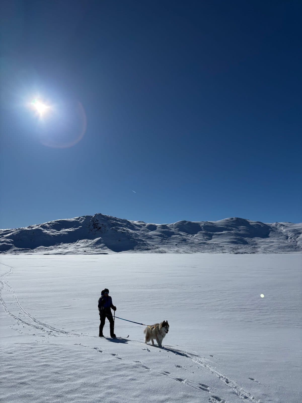Kristell in Jotunheimen with Nanga on skis